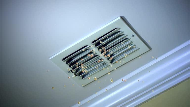 Best Affordable Air Duct Cleaning  in Boles Acres, NM