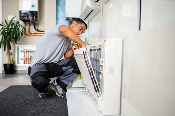 Best Affordable Duct Cleaning Services  in Boles Acres, NM