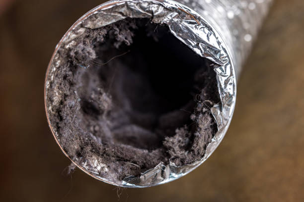 Best Commercial Air Duct Cleaning  in Boles Acres, NM
