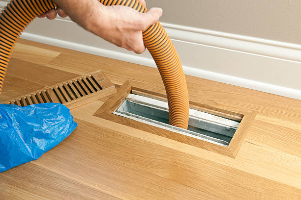 Best Professional Duct Cleaning Services  in Boles Acres, NM