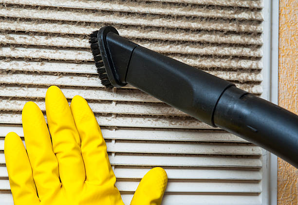Air Duct Mold Removal in NM